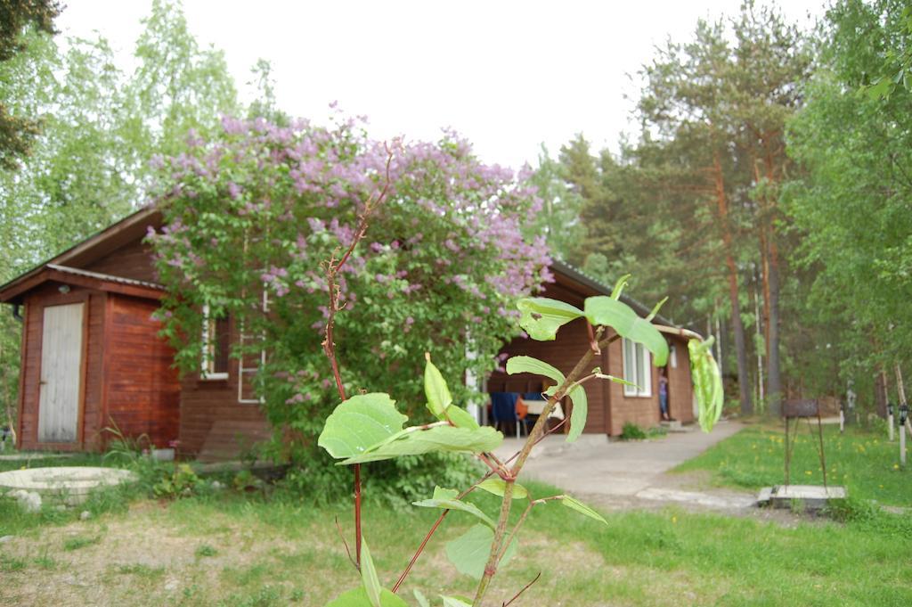 Lomasaaret Cottages Villala الغرفة الصورة